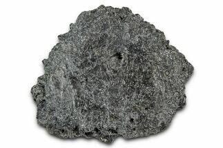 Fossil Glyptodont (Glyptotherium) Bony Armor Osteoderm - Florida #351057