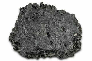 Fossil Glyptodont (Glyptotherium) Bony Armor Osteoderm - Florida #351072