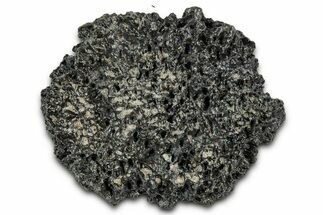 Fossil Glyptodont (Glyptotherium) Bony Armor Osteoderm - Florida #351077