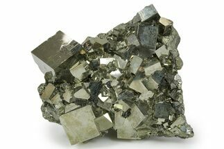 Gleaming Cubic Pyrite Crystal Cluster - Peru #351188