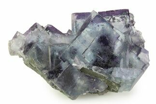 Gorgeous, Multicolored Fluorite Crystal Cluster - Yaogangxian Mine #351379