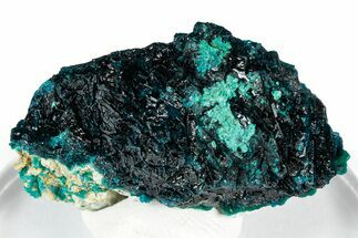 Vibrant Blue Veszelyite Cluster with Zincolibethenite - Congo #351587