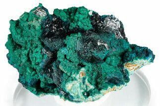 Blue Veszelyite and Kipushite on Zincolibethenite - Congo #351589