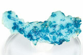 Vibrant Blue Veszelyite Cluster on Hemimorphite - Congo #351591