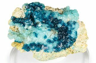 Vibrant Blue Veszelyite Cluster on Hemimorphite - Congo #351592