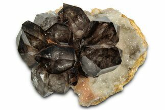 Smoky Quartz Crystal Cluster on Druzy Quartz - Australia #351788