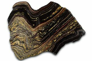 Polished Tiger Iron Stromatolite Slab - Billion Years #351796