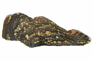 Polished Tiger Iron Stromatolite Slab - Billion Years #351814