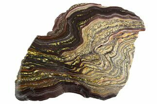 Polished Tiger Iron Stromatolite Slab - Billion Years #351874