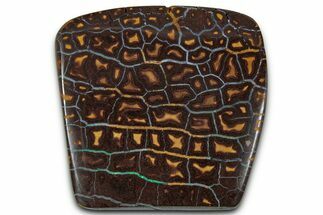 Colorful Polished Boulder Opal Specimen - Queensland, Australia #351863