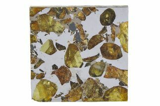 Brahin Pallasite Meteorite ( g) Slice - Belarus #351935