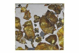 Brahin Pallasite Meteorite ( g) Slice - Belarus #351946