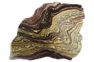 Polished Tiger Iron Stromatolite Slab - Billion Years #351877