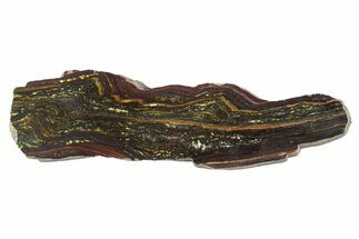 Polished Tiger Iron Stromatolite Slab - Billion Years #351888