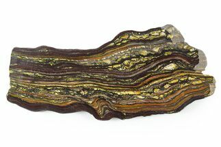 Polished Tiger Iron Stromatolite Slab - Billion Years #351895