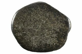 Polished Iguanodon Vertebra Slab - Isle Of Wight #352100