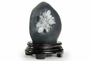 Polished Chrysanthemum Stone in Wood Base - China #352117