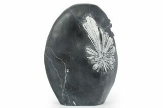 Polished Free-Standing Chrysanthemum Stone - China #352124