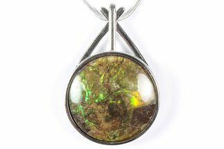Brilliant Ammolite Pendant (Necklace) - Alberta, Canada #352203