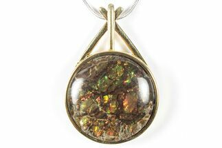 Brilliant Ammolite Pendant (Necklace) - Alberta, Canada #352204