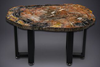 Polished Rainbow Petrified Wood Table - Arizona #352263