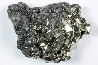 Sphalerite on Gleaming Octahedral Pyrite Crystal Cluster - Peru #352343