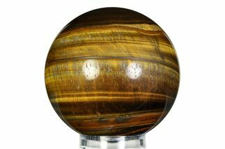 Polished Tiger's Eye Sphere - Top Quality #352421