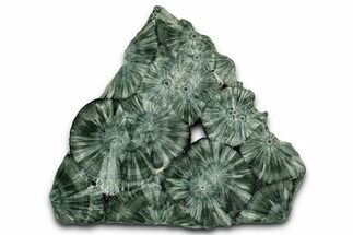 Polished Seraphinite Slab - Korshunovkiy Mine, Siberia #352665