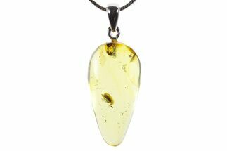 Polished Baltic Amber Pendant (Necklace) - Contains Beetle! #352962