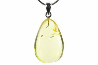 Polished Baltic Amber Pendant (Necklace) - Contains Fly! #352963