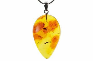 Polished Baltic Amber Pendant (Necklace) - Contains Flies & Ant! #352969