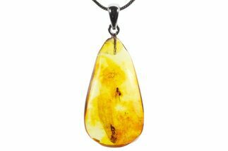 Polished Baltic Amber Pendant (Necklace) - Contains Fly! #352990