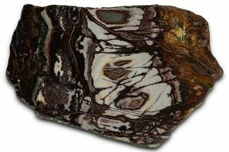 Polished Outback Jasper Section - Western Australia #353272