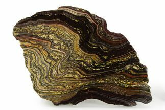 Polished Tiger Iron Stromatolite Slab - Billion Years #351906