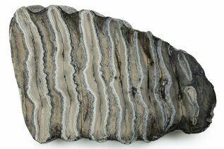 Recently Added For Sale