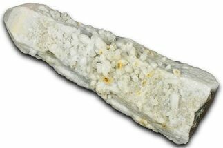 Milky Candle Quartz Crystal - Inner Mongolia #353629