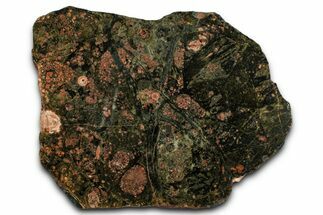 Polished Spherulitic Rhyolite Section - Australia #353679