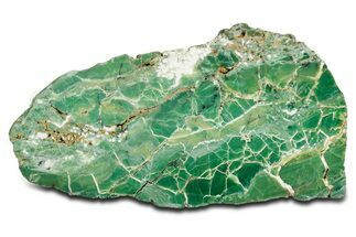 Polished Green-White Opal Section - Western Australia #353732