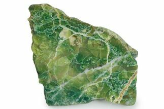 Polished Green-White Opal Slab - Western Australia #353736