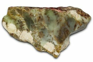 Polished Dendritic Opal Section - Western Australia #353793