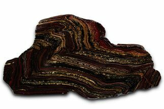 Polished Tiger Iron Stromatolite Section - Billion Years #353262
