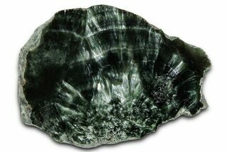 Polished Seraphinite Slab - Korshunovkiy Mine, Siberia #354286