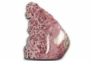 Polished Banded Rhodochrosite Section - Argentina #354500