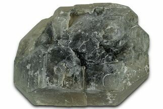 Fluorescent/Phosphorescent Hanksite Crystal - Trona, California #354556