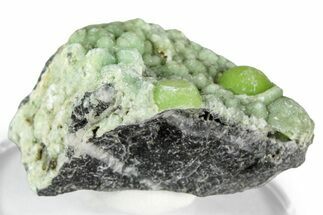 Botryoidal Green Wavellite Formation - Arkansas #354584