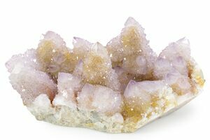 8.5" Phenomenal Cactus Amethyst Crystal Cluster - South Africa (#364564)  For Sale - FossilEra.com