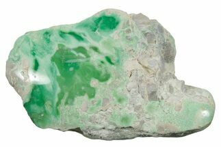 Polished Pastel Green Lucin Variscite ( g) - Utah #354646