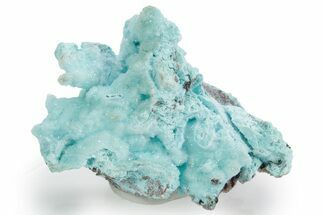 Sparkling Chrysocolla Pseudomorph - DR Congo #354658