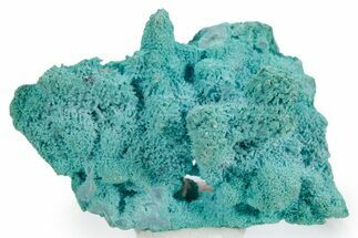 Vibrant Chrysocolla Pseudomorph - Lupoto Mine, DR Congo #354659