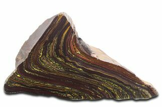 Tiger Iron Stromatolite Stand Up - Billion Years #354889